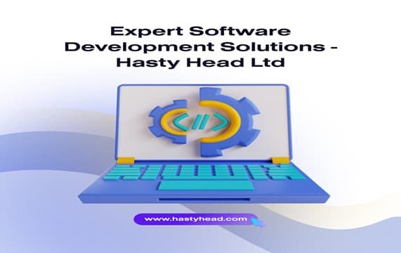 Leveraging Software Development for Business Innovation